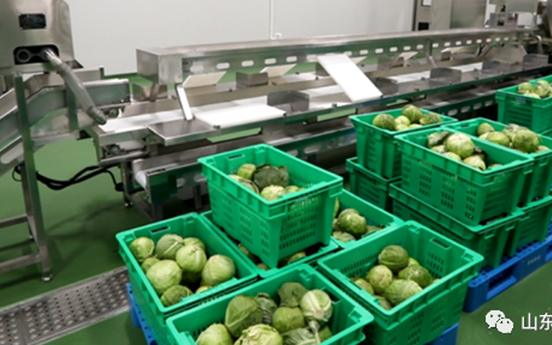 【科普】塑料周轉(zhuǎn)筐的應(yīng)用范圍及好壞辨別方法